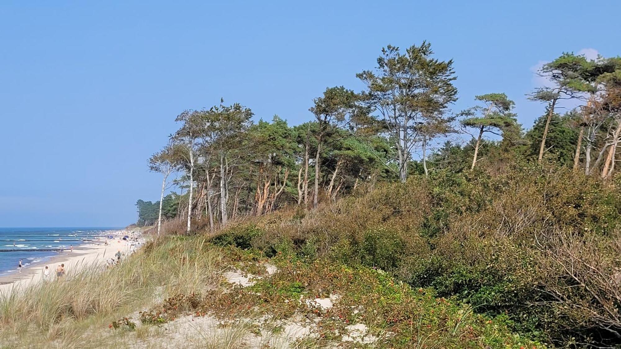 Holiday home Dom W Rusinowie Rusinowo (Slawno)